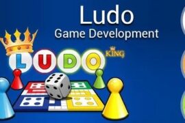 ludo game development company
