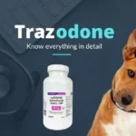 Trazodone-effect-on-dogs.webp