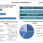 Isononanoic-Acid-Market-Industry-Snapshot.png