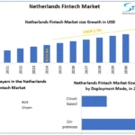 Netherlands-Fintech-Market-snapshot.webp