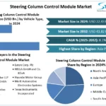 Steering-Column-Control-Module-Market-snapshot.webp