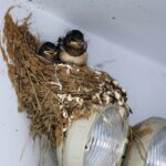 Brooklyn-Dryer-Vent-Cleaning-5.jpg