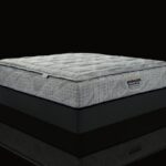 snoozer-beauty-sleep-1-1.jpg