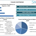 Fumaric-Acid-Market-Snapshot-2.webp
